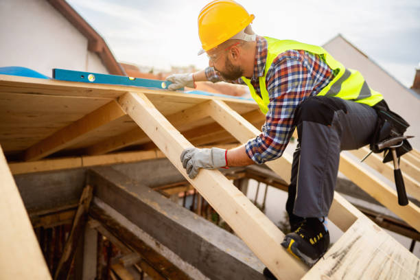 Best Roof Leak Repair  in Denison, IA